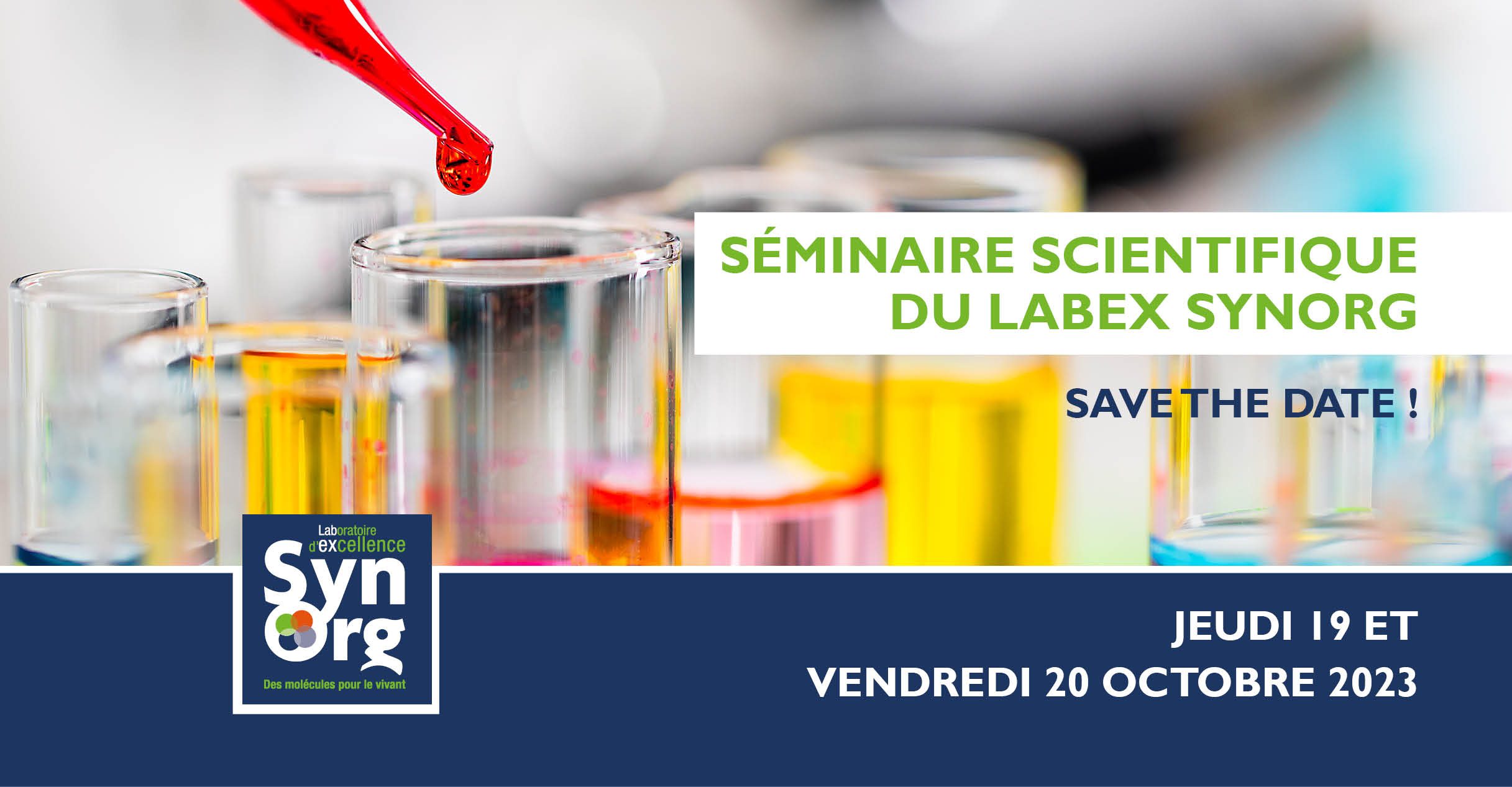 Séminaire scientifique LabEx SynOrg